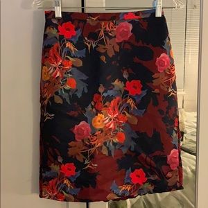 Anthropologie Skirt